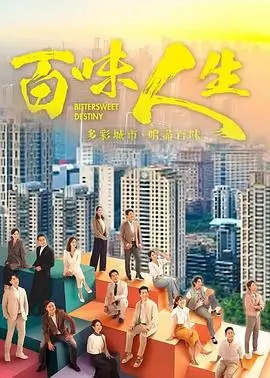 国产剧集雾港档案封面